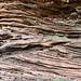 Die Kieungerfelsen. Sediment.