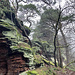 Wilde Felsen hier.