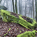 Am Gipfel des Immersbergs.