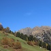 über die Wiese schräg aufwärts