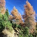 Herbstpfad