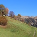 über die Wiese schräg aufwärts