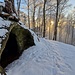 Die Grotte.