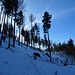 Über Forstwege und durch lichten Wald...