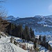 nun geht es, durch den vom Föhnwind zerstörten Wald, weiter hinunter nach Wildhaus.