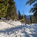 hier beim Langebode ist ein Wegweiser, nach links geht es zum Gulme hinauf und nach rechts nach Wildhaus hinunter.