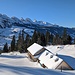 noch ein Rückblick über die Alp hinweg zu den Churfirsten