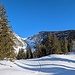 hier bin ich auf dem Weg zur Alp Tesel<br />
