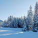 Winter Wunderland.