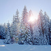 Winter Wunderland.