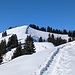 Auf dem Weg zum Brüschstockbügel.