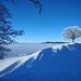 28.12.2024: Herrliche Winterstimmung auf dem Worbberg.