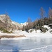 Predarossa