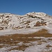 ohne Schnee