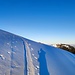 Ein Sonnenstrahl im Aufstieg zum Schwarzenberg