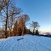 Was für eine Ski-Woche in meinen Hügeln!