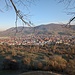 Blick vom Calverbühl auf Dettingen/Erms.