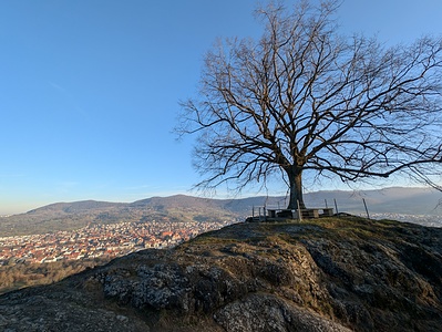 Calverbühl