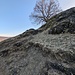 Wanderweg zum Calverbühl. Fast wie am Ätna! ;-)