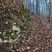 Anstieg zwischen Calverbühl und Rossfeld.