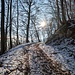 Oberhalb ca. 600 m liegt ordentlich Schnee.