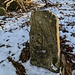 Historischer Grenzstein mit württembergischer Hirschstange.