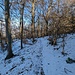 Abstieg durch den winterlichen Wald.