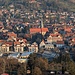 Dettingen/Erms mit Stiftskirche vom Calverbühl.