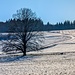 Rossfeld im Winter.