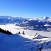 Rheintal im Nebel