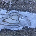 frühmorgendliches Eiskunstwerk