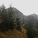 Nach grasiger Flanke und durch schütteren Wald ... 