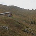 Gleich an der Oberen Mährenalpe