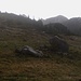 Einige Regentropfen und kühler Wind am Weg 