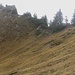 Rückblick