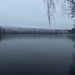 Radvanecký rybník (Bretteich)