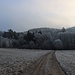 Eingang zum Údolí samoty (Tal der Einsamkeit/Lunzengrund)