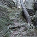 Steilanstieg auf die Hochfläche
