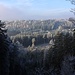 Sichtfenster