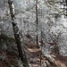 Talkantenpfad