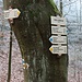 Wanderwegweiser