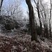 Strážný, Nordwestseite