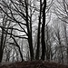 Pomahačův vrch (Wache Berg/Staarberg), Gipfel