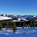 Durch diese schönen Wälder südlich des Jaunpasses führt die Langlaufloipe