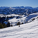 Blick über das Sparenmoos zu Wildstrubel und Wildhorn