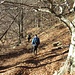 Si comincia a scendere nel bosco.