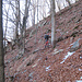quota 1430 m circa, si ritrova residuo della antica via d'alpe, che porta verso sinistra al costone