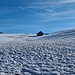 Unten liegt genug Schnee, durch die Nachtfröste gut geschützt 