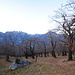 Castagneto di Nago