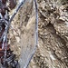 ein Blatt aus Eis